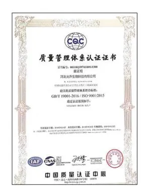 ISO9001(中文)