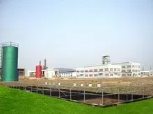 其他图片
