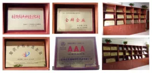 荣誉证书
