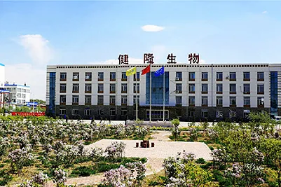 办公区域