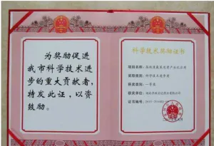 荣誉证书