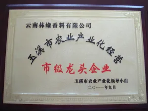 荣誉证书