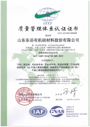 ISO9001(中文)