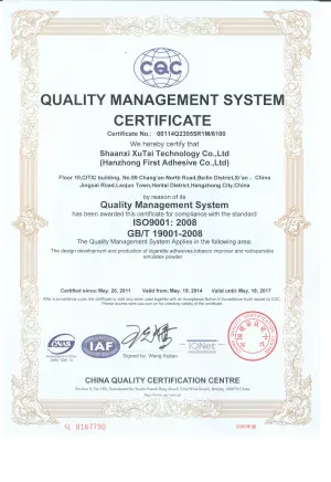 ISO9001(英文)