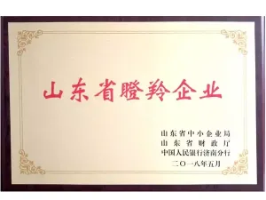 荣誉证书