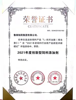 荣誉证书