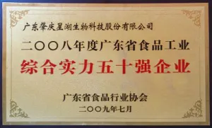 荣誉证书