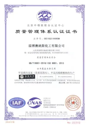 ISO9001(中文)