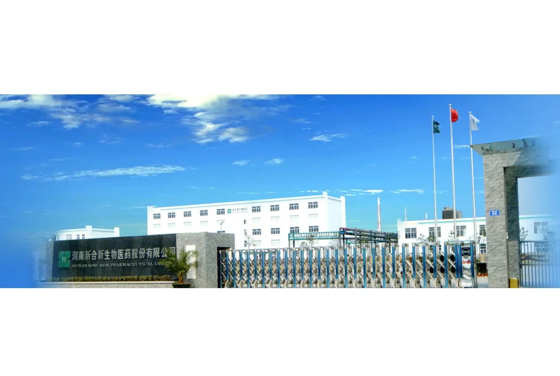 厂房大门