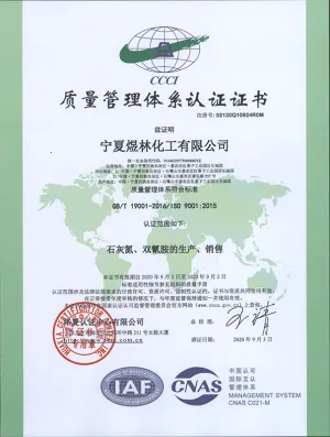ISO9001(中文)