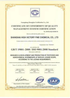 ISO9001(英文)
