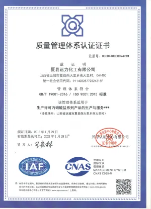 ISO9001(中文)