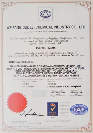ISO9001(英文)