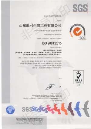 ISO9001(中文)