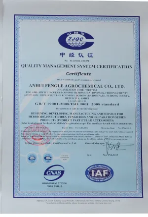 ISO9001(英文)