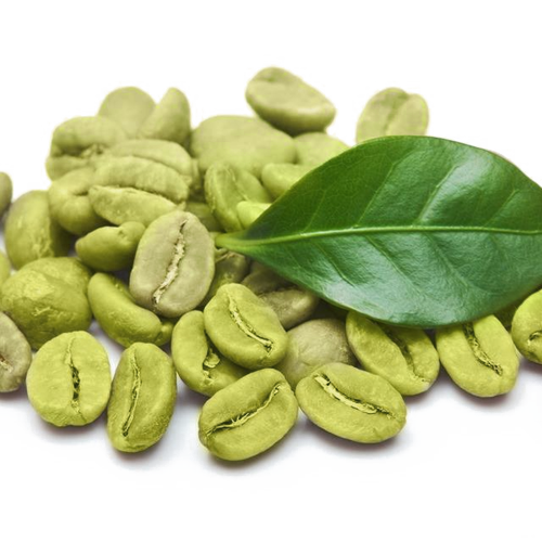 咖啡豆提取物