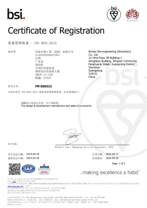 ISO9001(中文)