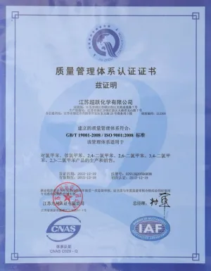 ISO9001(中文)