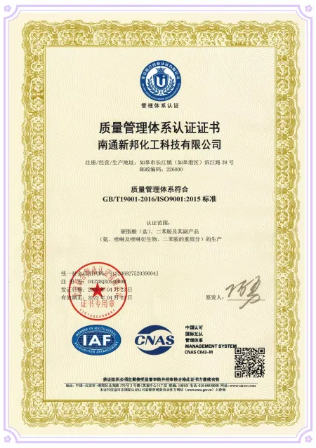 ISO9001(中文)