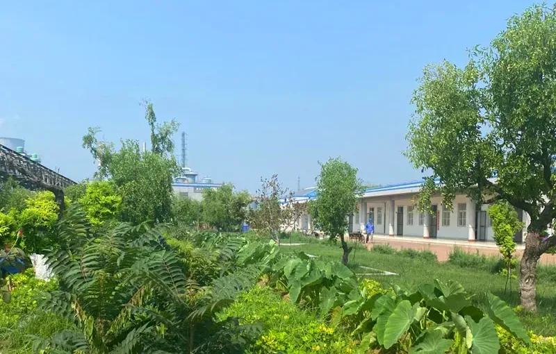 其他图片