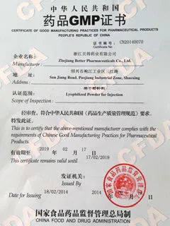 SFDA-GMP