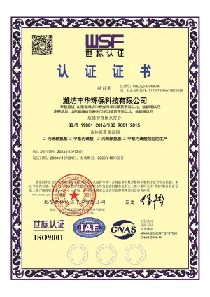 ISO9001(中文)