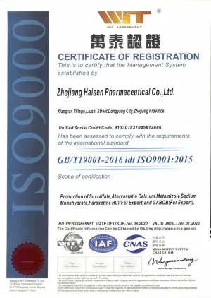 ISO9001(英文)