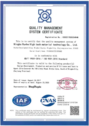 ISO9001(英文)