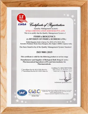 ISO9001(英文)