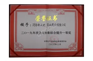 荣誉证书