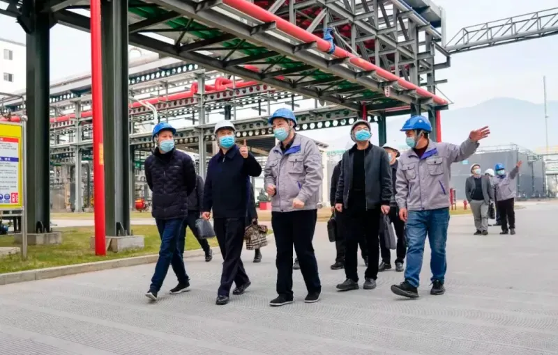 公司活动