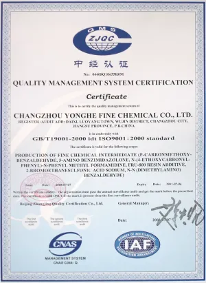 ISO9001(英文)