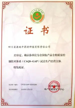 荣誉证书
