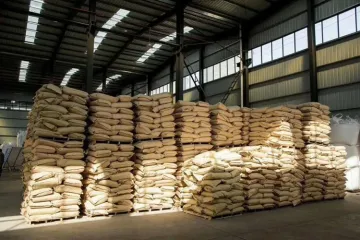 2-丙烯酰胺基-2-甲基丙磺酸/AMPS/ATBS