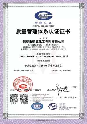 ISO9001(中文)