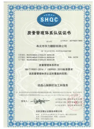 ISO9001(中文)