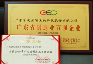 荣誉证书