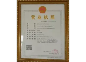 其他证书
