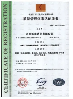 ISO9001(中文)