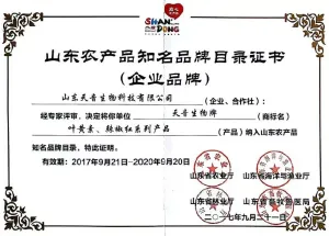 其他证书