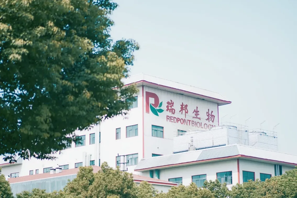 厂房大门