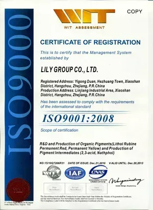 ISO9001(英文)