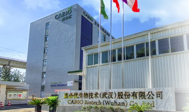 厂房大门