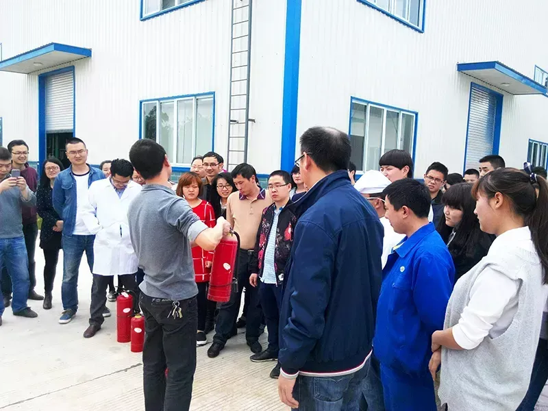 公司活动
