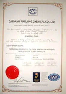 ISO9001(英文)