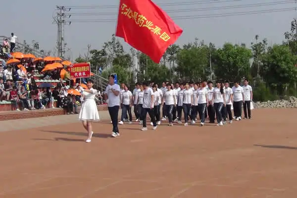 公司活动