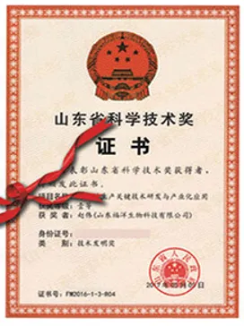 荣誉证书