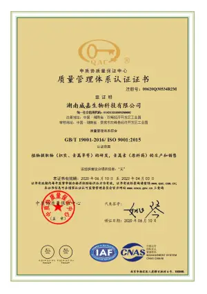 ISO9001(中文)