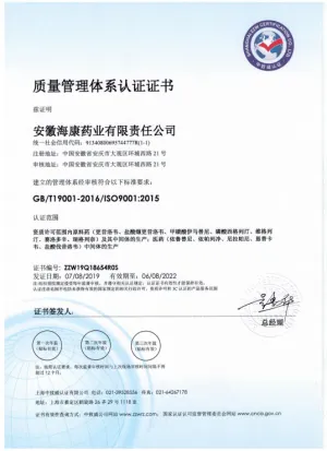 ISO9001(中文)