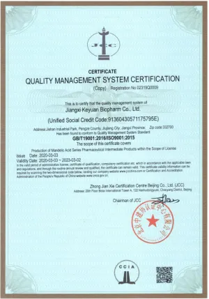 ISO9001(英文)